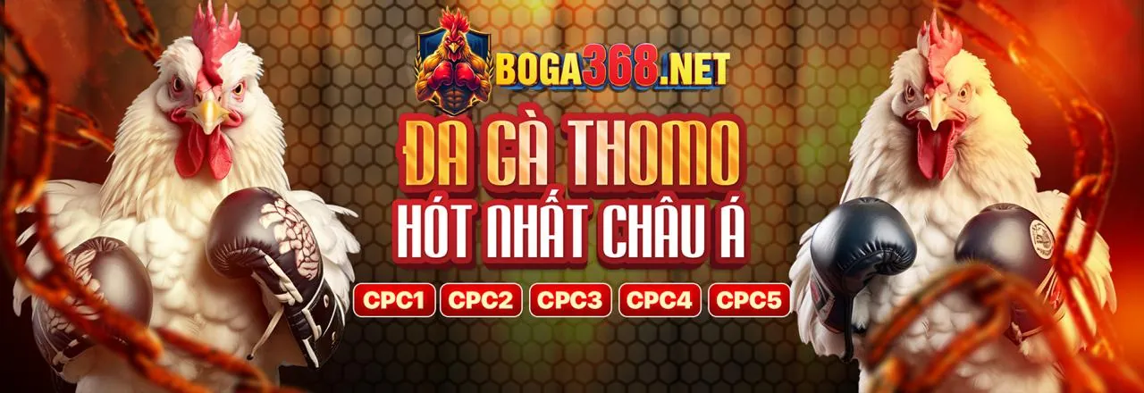 Người hâm mộ thể thao like88 ăn mừng