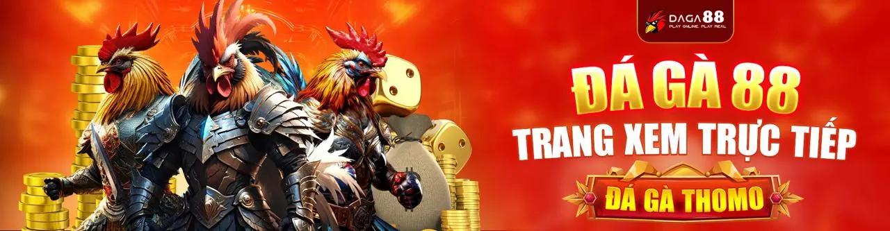 Đấu trường đá gà trực tuyến kịch tính tại like88 hiện đang mở